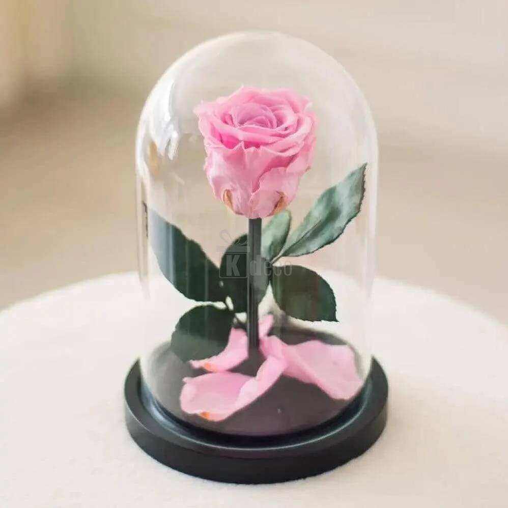 Trandafir Criogenat Roz XL în Cupolă de Sticlă - Cadou Elegant cu Mesaj Personalizat - Kdeco.ro