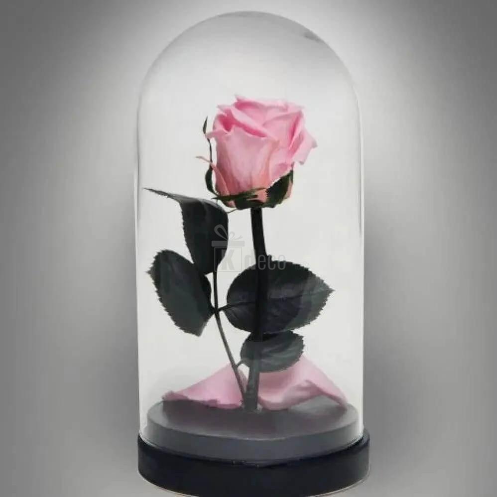 Trandafir Criogenat Roz XL în Cupolă de Sticlă cu Mesaj Personalizat - 25 de Ani de Iubire Nemuritoare - Kdeco.ro