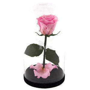 Trandafir Criogenat roz XL Ø6,5cm in cupola de sticla - Kdeco