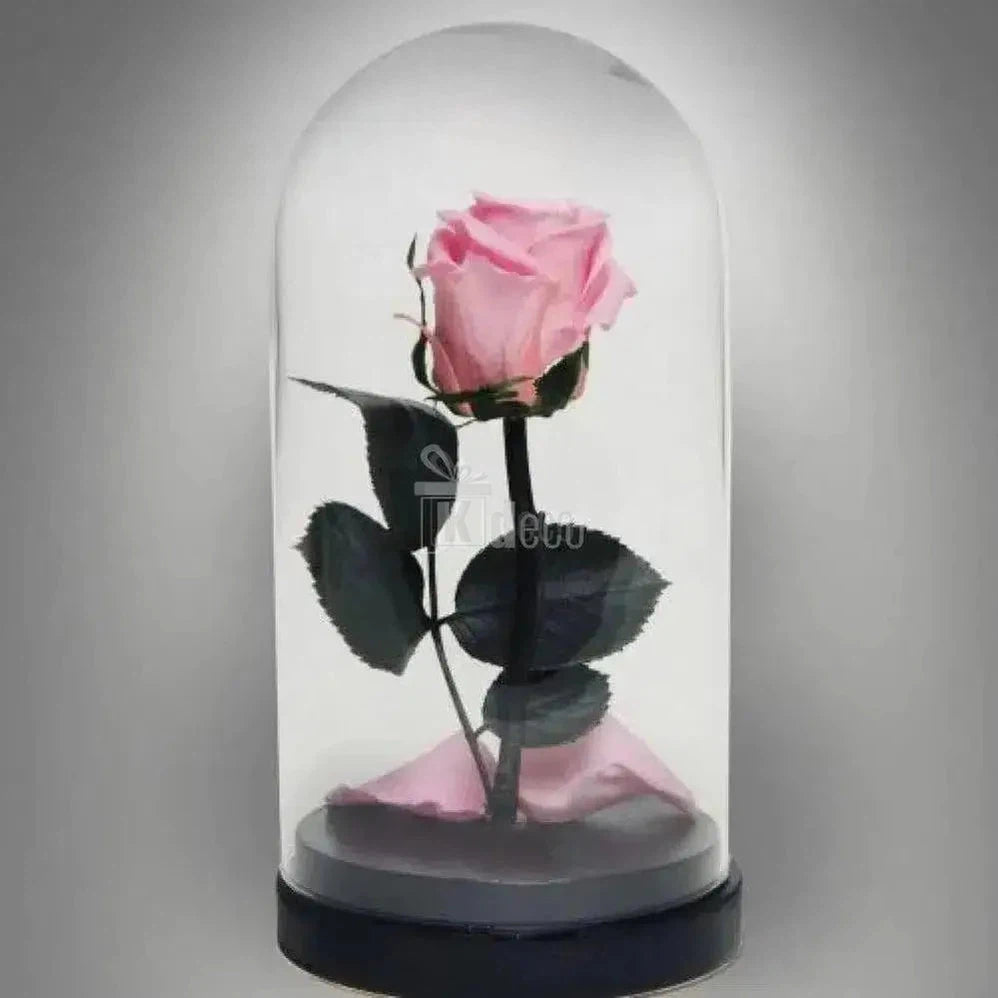 Trandafir Criogenat roz XL Ø6,5cm in cupola de sticla - Kdeco