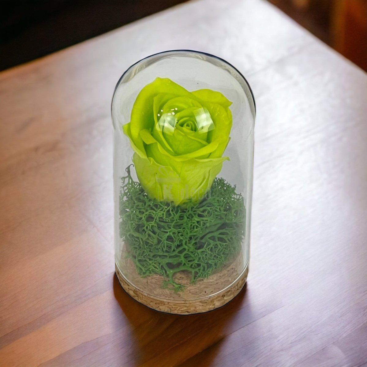 Trandafir Criogenat verde in cupola mica 5x9,5cm (marturie)-Kdeco.ro