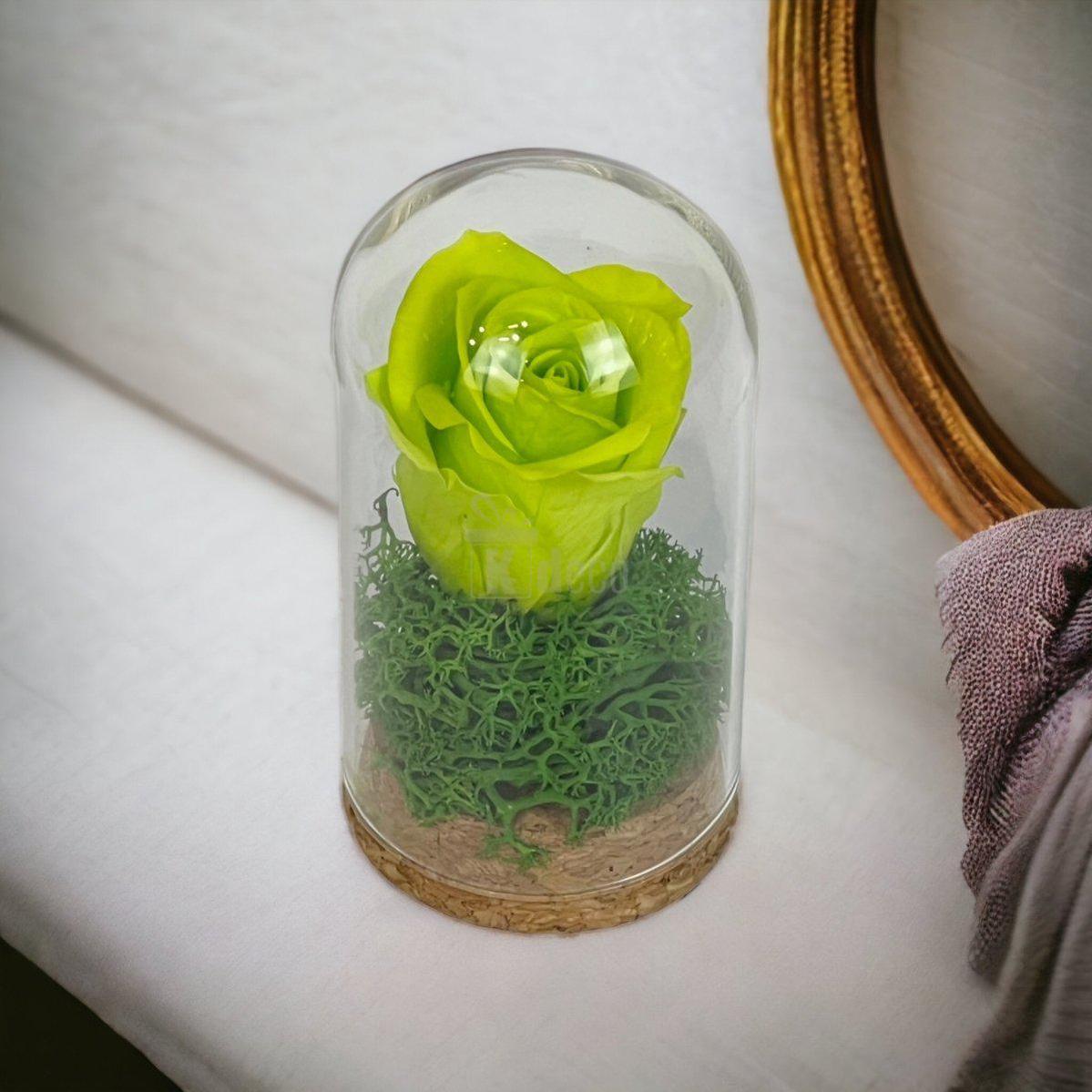 Trandafir Criogenat verde in cupola mica 5x9,5cm (marturie)-Kdeco.ro