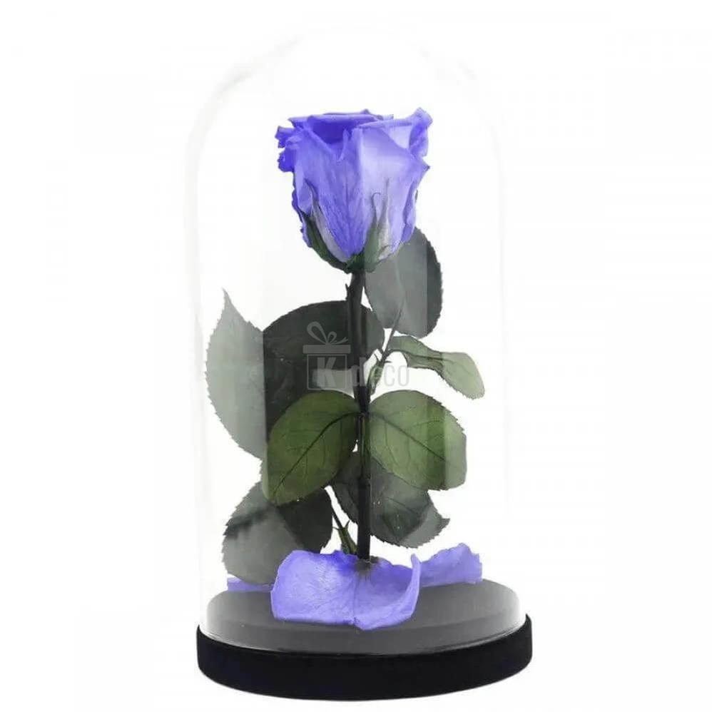 Trandafir Criogenat Violet XL în Cupolă de Sticlă - Cadoul Ideal pentru Iubirea Ta - Kdeco.ro