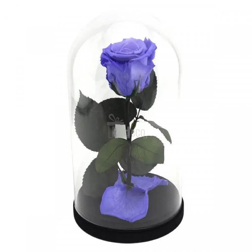 Trandafir Criogenat Violet XL în Cupolă de Sticlă - Cadoul Ideal pentru Iubirea Ta - Kdeco.ro