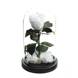 Trandafir Criogenat xl alb Ø6,5cm in cupola de sticla - Kdeco