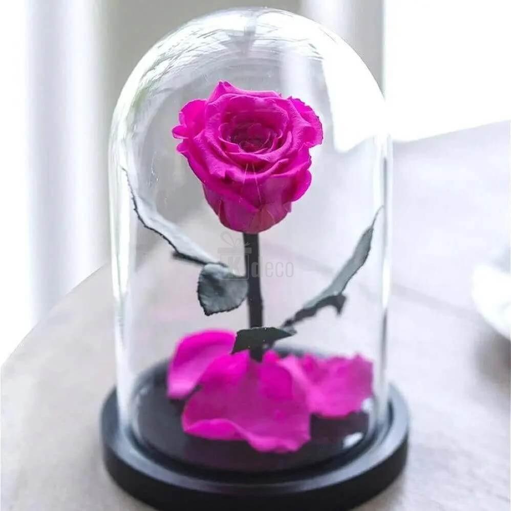 Trandafir Criogenat XL ciclam în cupolă de sticlă 12x25cm - Cadoul Ideal pentru Orice Ocazie - Kdeco.ro