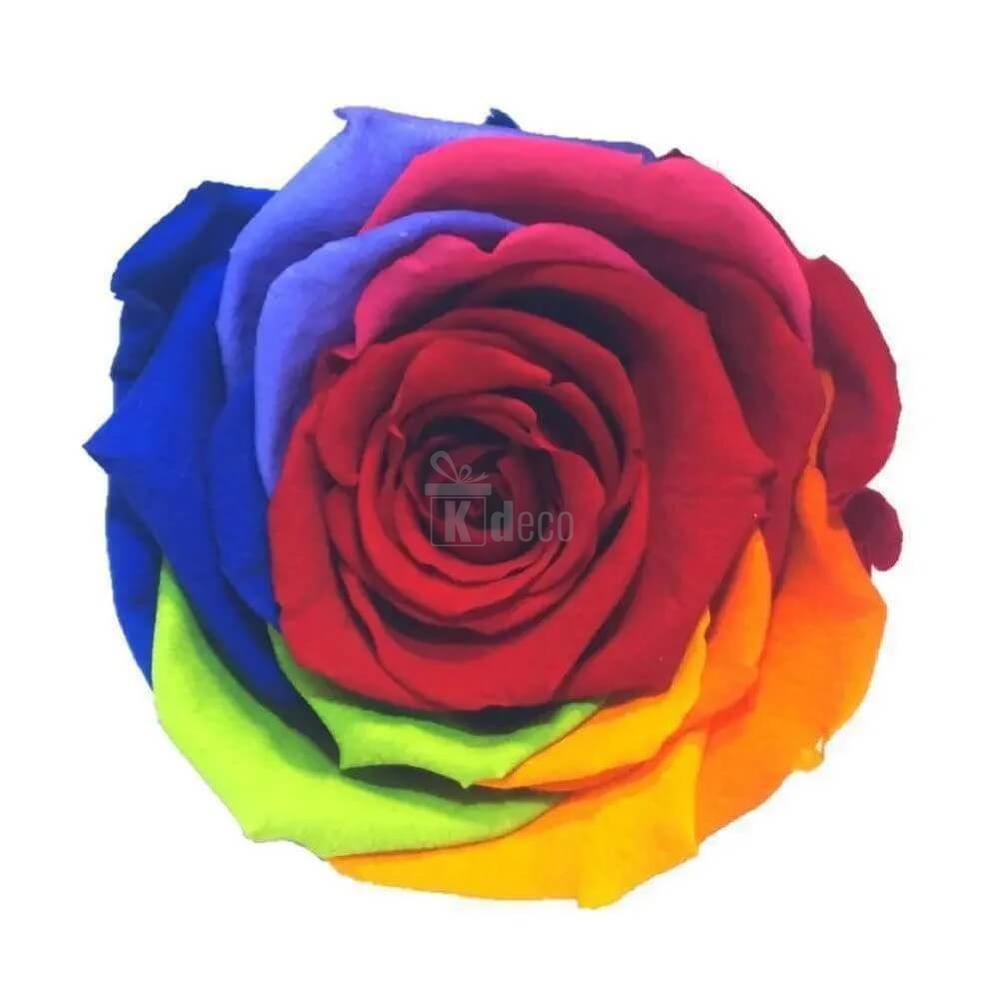 Trandafir Criogenat XL Colorat în Cupolă de Sticlă Ø6,5 cm - Cadou Durabil pentru Momente Speciale - Kdeco.ro