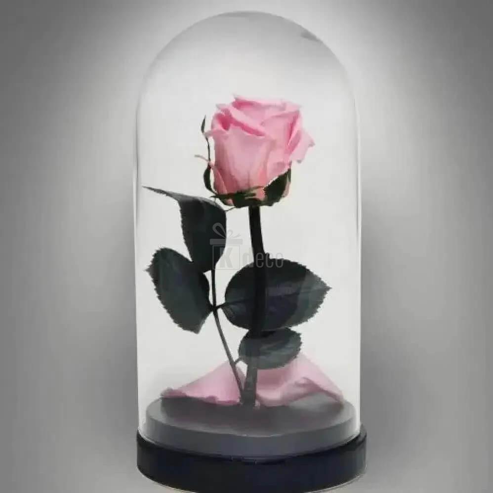 Trandafir Criogenat XL roz în cupola de sticlă - Cadoul Ideal pentru Ocazii Speciale - Kdeco.ro