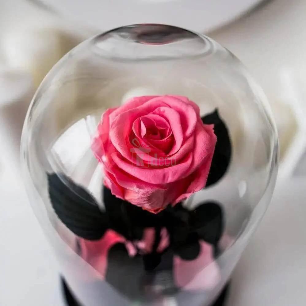 Trandafir Criogenat XL Somon Deschis Ø6,5cm în Cupola de Sticlă Elegantă - Kdeco.ro