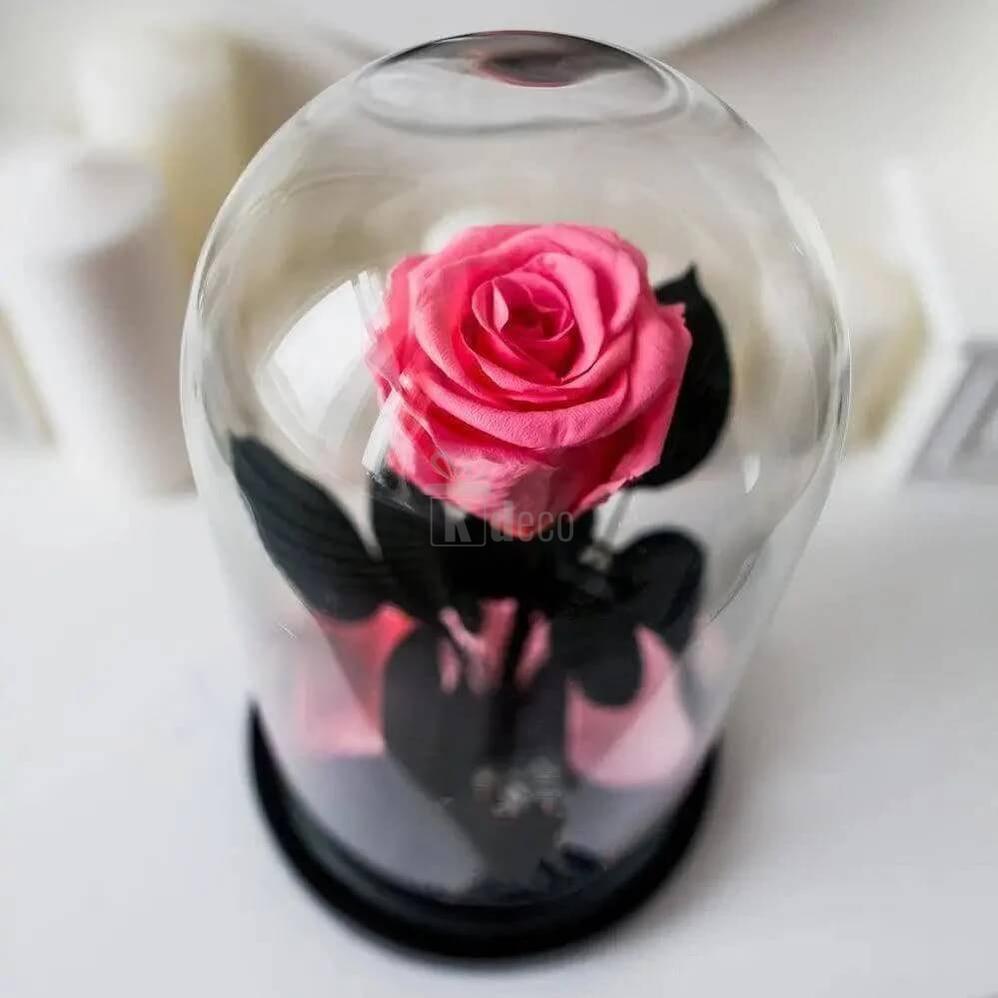 Trandafir Criogenat XL Somon Deschis Ø6,5cm în Cupola de Sticlă Elegantă - Kdeco.ro