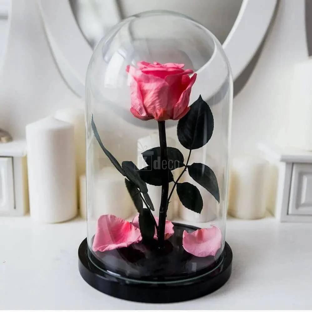 Trandafir Criogenat XL Somon Deschis Ø6,5cm în Cupola de Sticlă Elegantă - Kdeco.ro