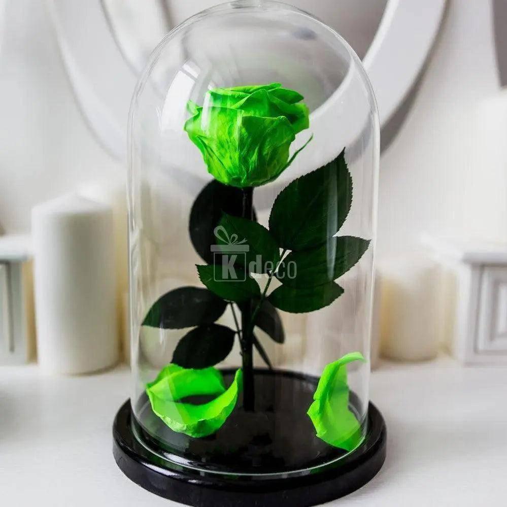 Trandafir Criogenat XL verde menta în cupolă elegantă Ø6,5cm 10x20cm, aranjament floral de lux pentru cadouri deosebite și aniversări