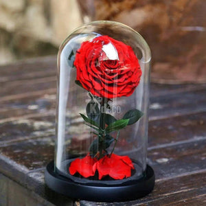Trandafir Criogenat XXL rosu Ø9,5cm in cupola sticla mare - Kdeco
