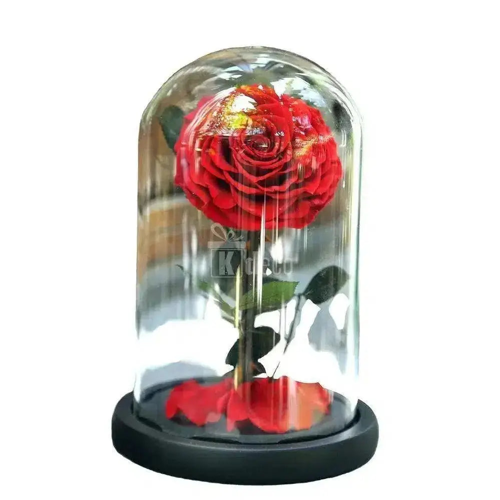 Trandafir Criogenat XXL rosu Ø9,5cm in cupola sticla mare - Kdeco