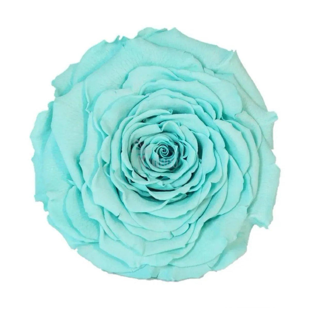Trandafir Criogenat XXL turcoaz în cupolă de sticlă 15x25cm, cadou de neuitat pentru cei dragi - Kdeco.ro