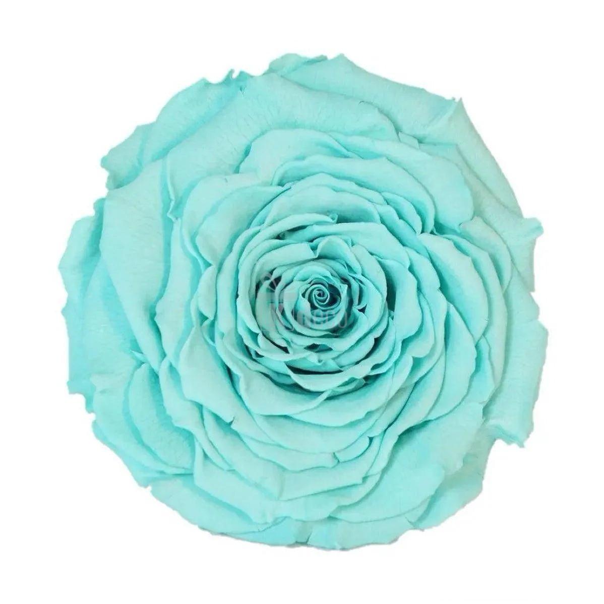 Trandafir Criogenat XXL turcoaz în cupolă de sticlă 15x25cm, cadou de neuitat pentru cei dragi - Kdeco.ro