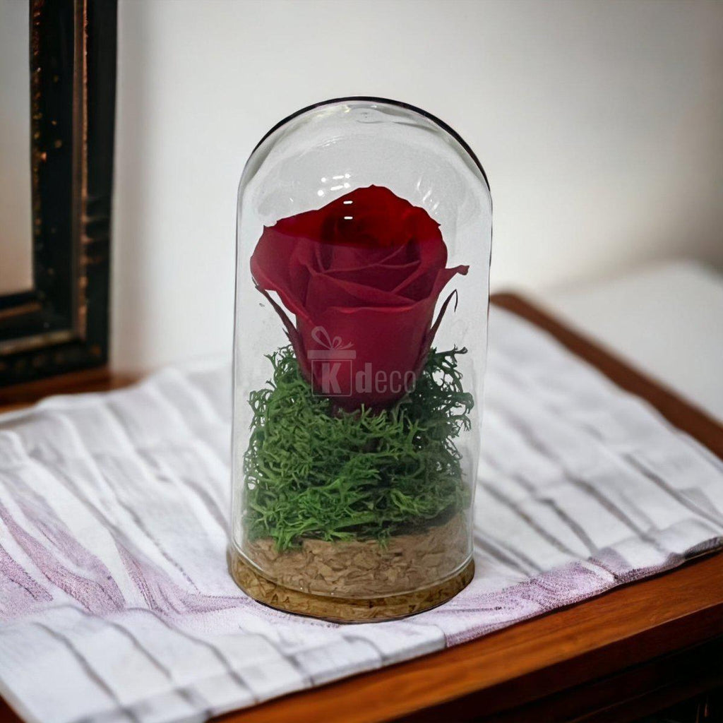 Trandafir Criogenat rosu in cupola mica 5x9,5cm (marturie)-Kdeco.ro