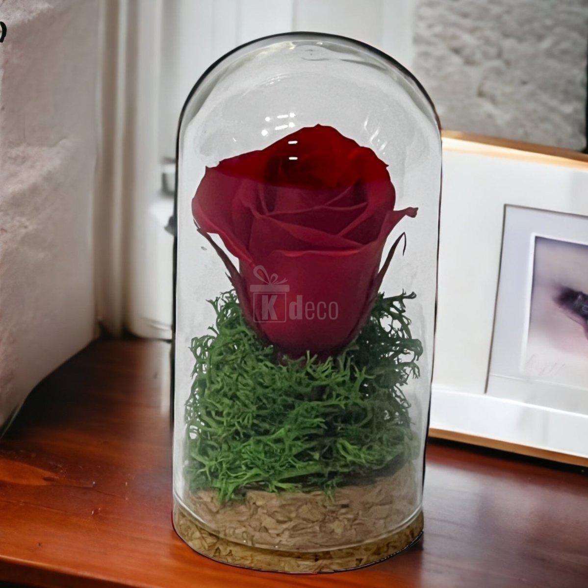 Trandafir Criogenat rosu in cupola mica 5x9,5cm (marturie)-Kdeco.ro