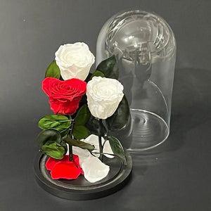 Trandafiri Criogenati 2 albi si 1 rosu in forma de inima - Kdeco