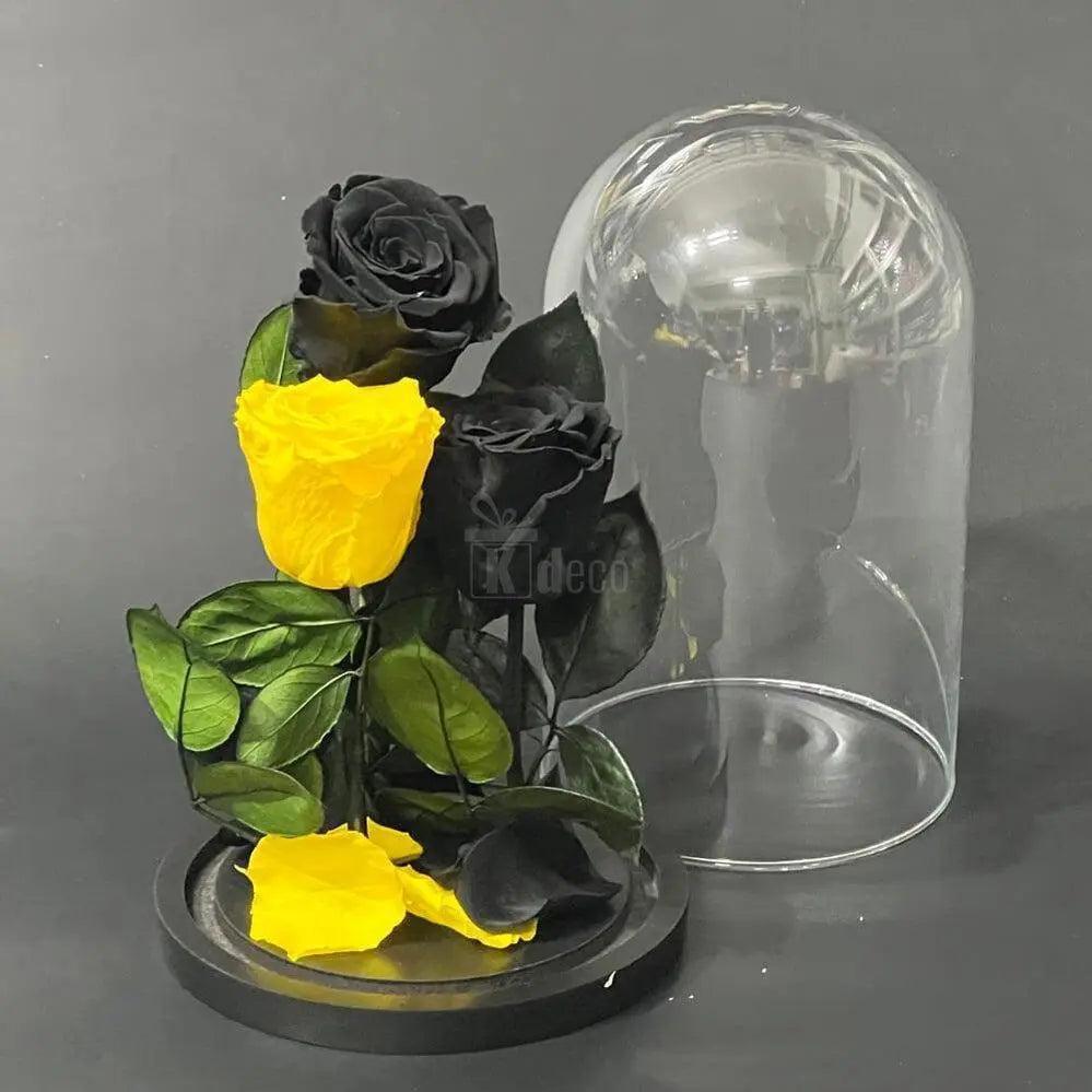 Aranjament floral cu 3 trandafiri criogenati, 2 negri și 1 galben, în cupolă de sticlă detașabilă, ideal pentru cadou elegant