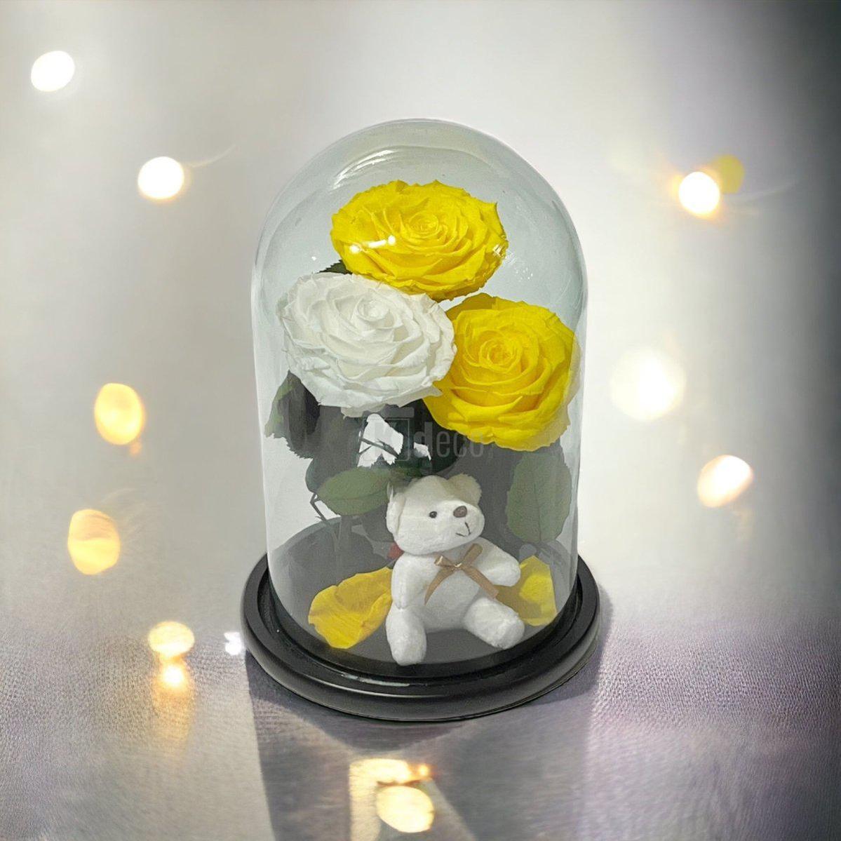 3 Trandafiri Criogenati mari (2 galbeni si 1 alb) in cupola sticla cu ursulet-Kdeco.ro
