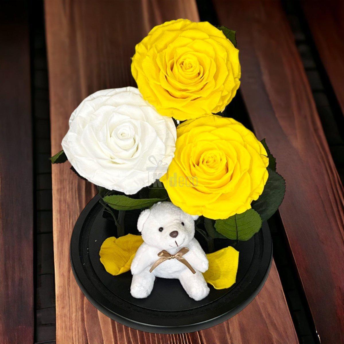 3 Trandafiri Criogenati mari (2 galbeni si 1 alb) in cupola sticla cu ursulet-Kdeco.ro