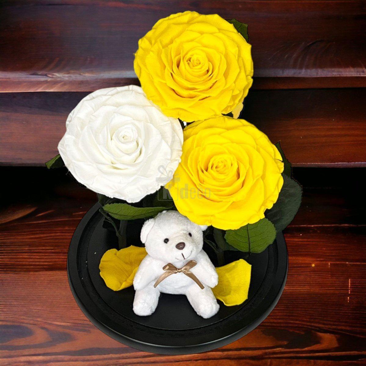 3 Trandafiri Criogenati mari (2 galbeni si 1 alb) in cupola sticla cu ursulet-Kdeco.ro