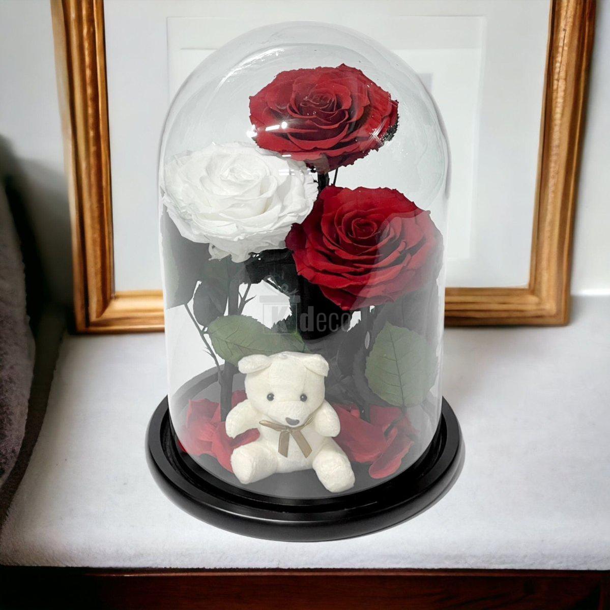 3 Trandafiri Criogenati mari (2 rosii si 1 alb) in cupola sticla-Kdeco.ro