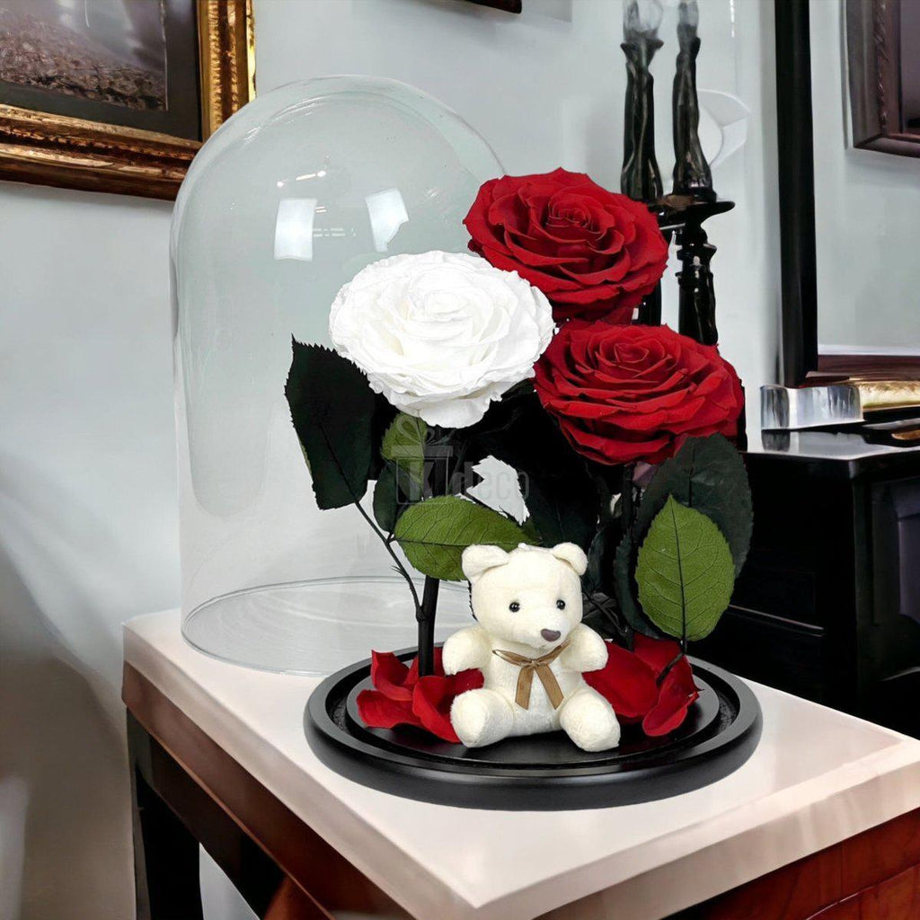 3 Trandafiri Criogenati mari (2 rosii si 1 alb) in cupola sticla-Kdeco.ro