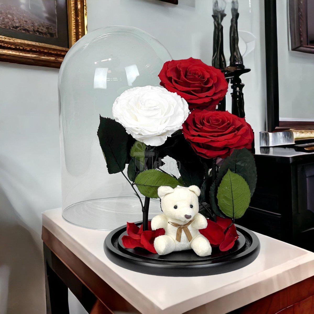 3 Trandafiri Criogenati mari (2 rosii si 1 alb) in cupola sticla-Kdeco.ro