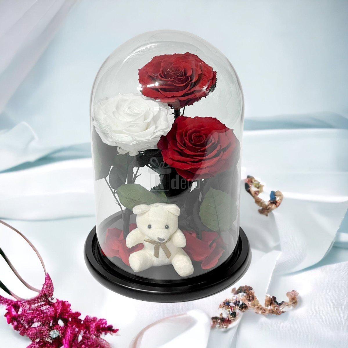 3 Trandafiri Criogenati mari (2 rosii si 1 alb) in cupola sticla-Kdeco.ro