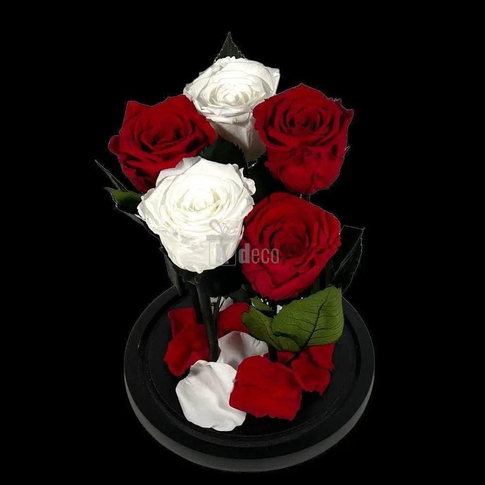Aranjament de top cu trandafiri criogenati roșii și albi, prezentat pe fundal negru, perfect pentru decor sau cadou.