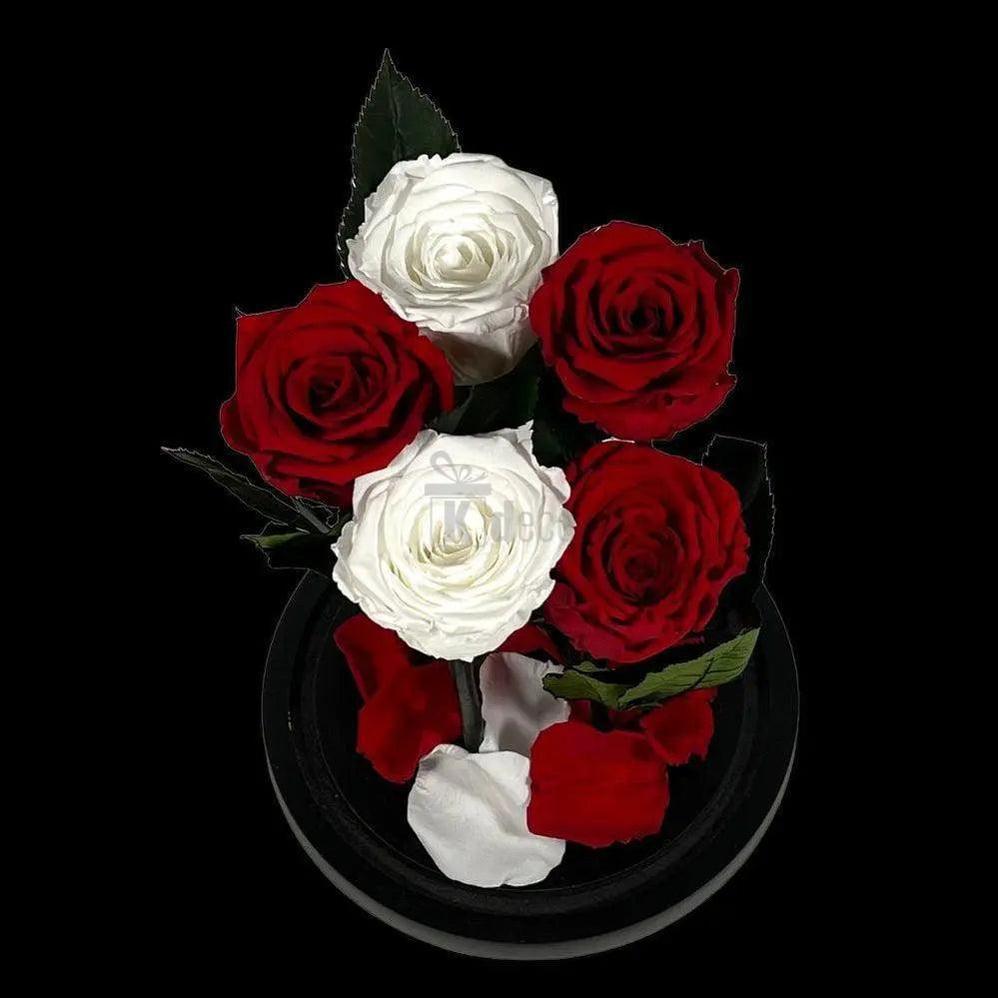 Trandafiri criogenati în nuanțe de alb și roșu, dispuși elegant pe suport rotund, cadou de lux pentru femei.