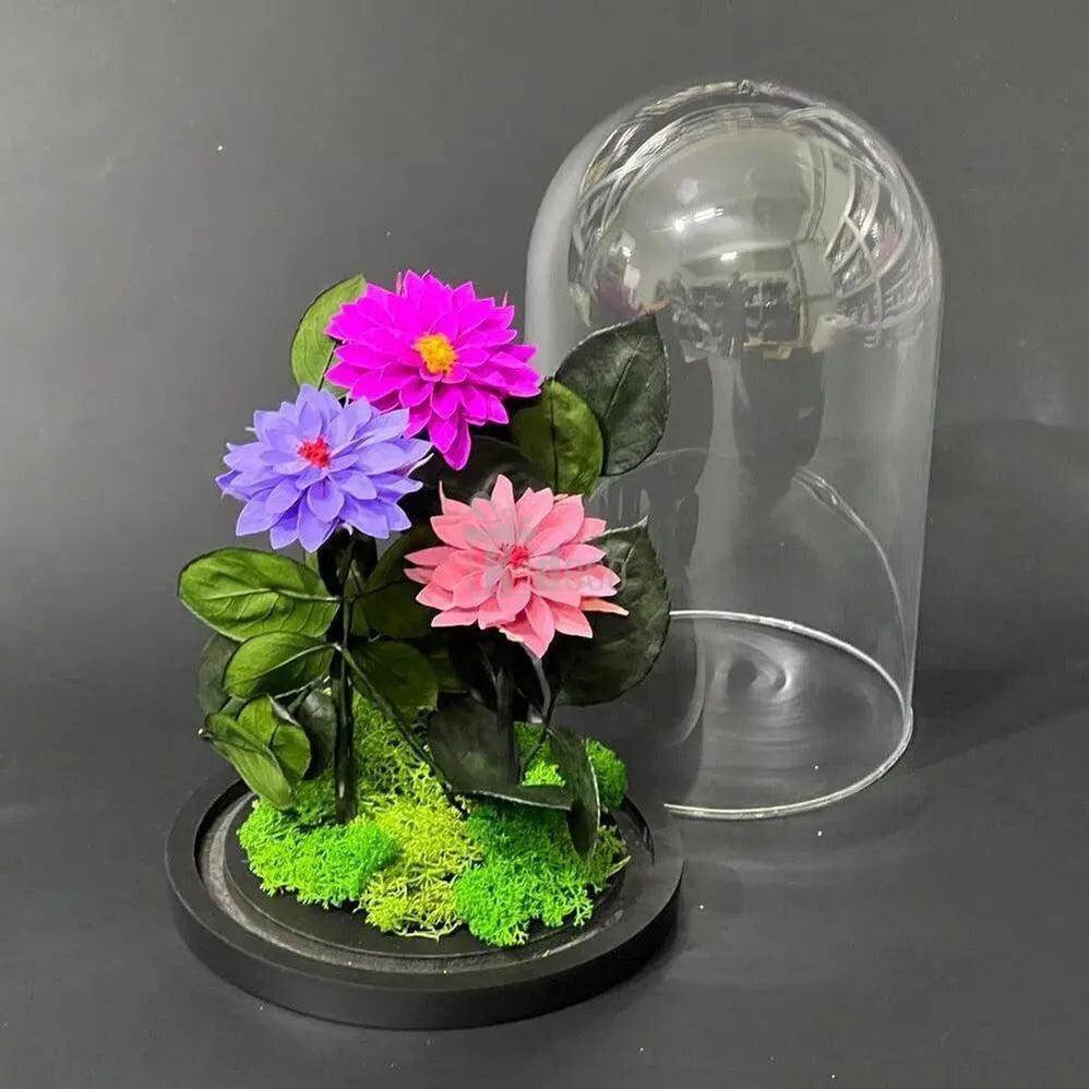 Dalii Criogenate in 3 nuante de mov in cupola de sticla, mesaj - Kdeco.ro