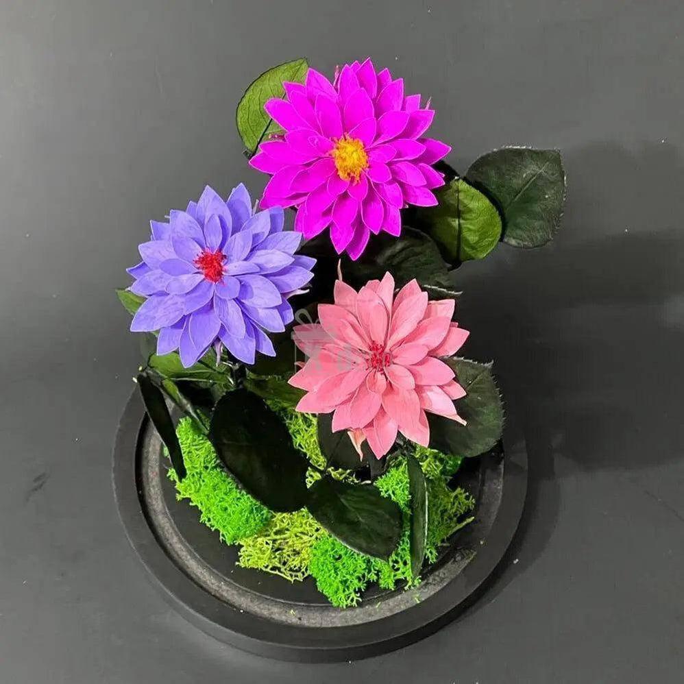 Dalii Criogenate in 3 nuante de mov in cupola de sticla, mesaj - Kdeco.ro