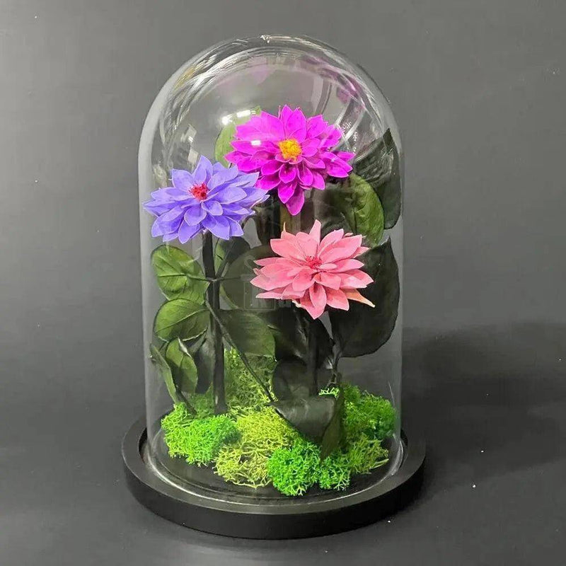 Dalii Criogenate in 3 nuante de mov in cupola de sticla, mesaj - Kdeco.ro