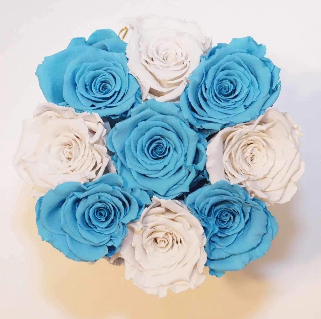 Cutie 9 Trandafiri Criogenati XL Ø6,5cm mix alb-bleu, cu mesaj - Kdeco.ro