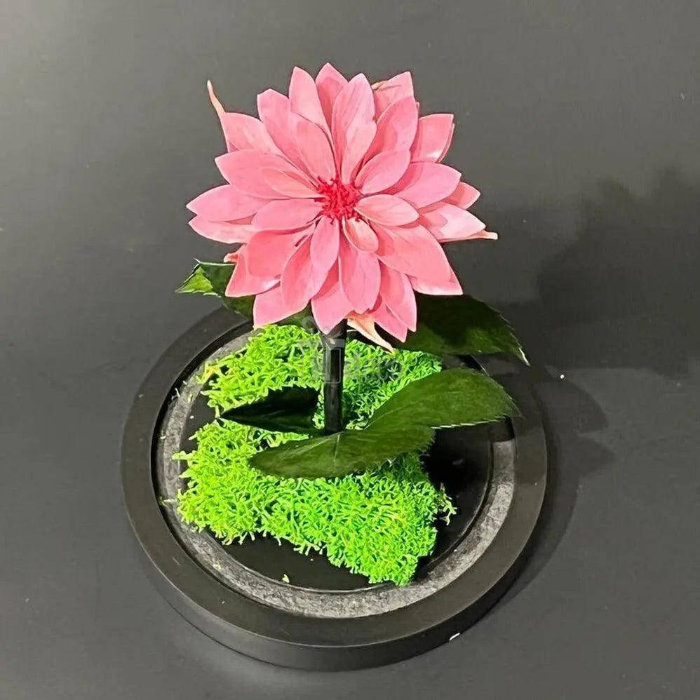 Dalie Criogenata mov-pudrat Ø8cm in cupola de sticla 10x20cm - Kdeco.ro