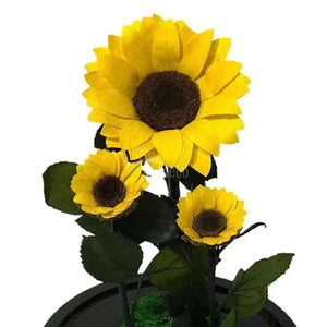 Floarea Soarelui Criogenata Ø10-12cm cu alte 2 floricele mai mici - Kdeco.ro