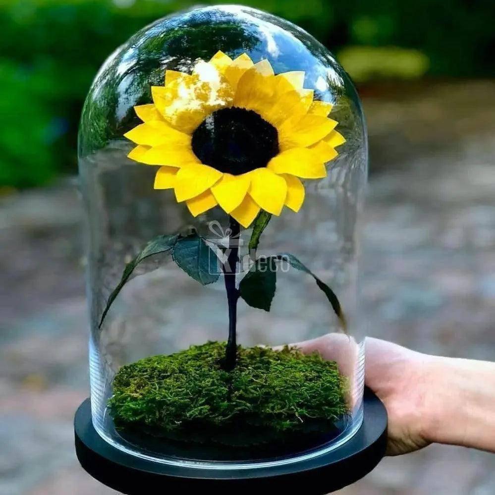 Aranjament floral cu floarea soarelui criogenată în cupolă de sticlă pe bază cu mușchi natural, cadou deosebit pentru ocazii speciale.