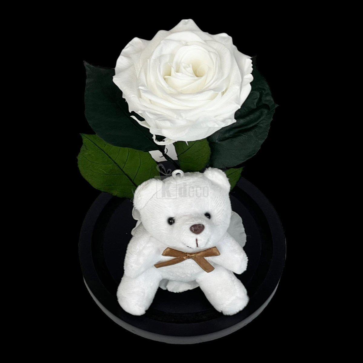 Trandafir Criogenat Premium Alb 8cm in Cupola de Sticla cu Ursulet - Kdeco.ro