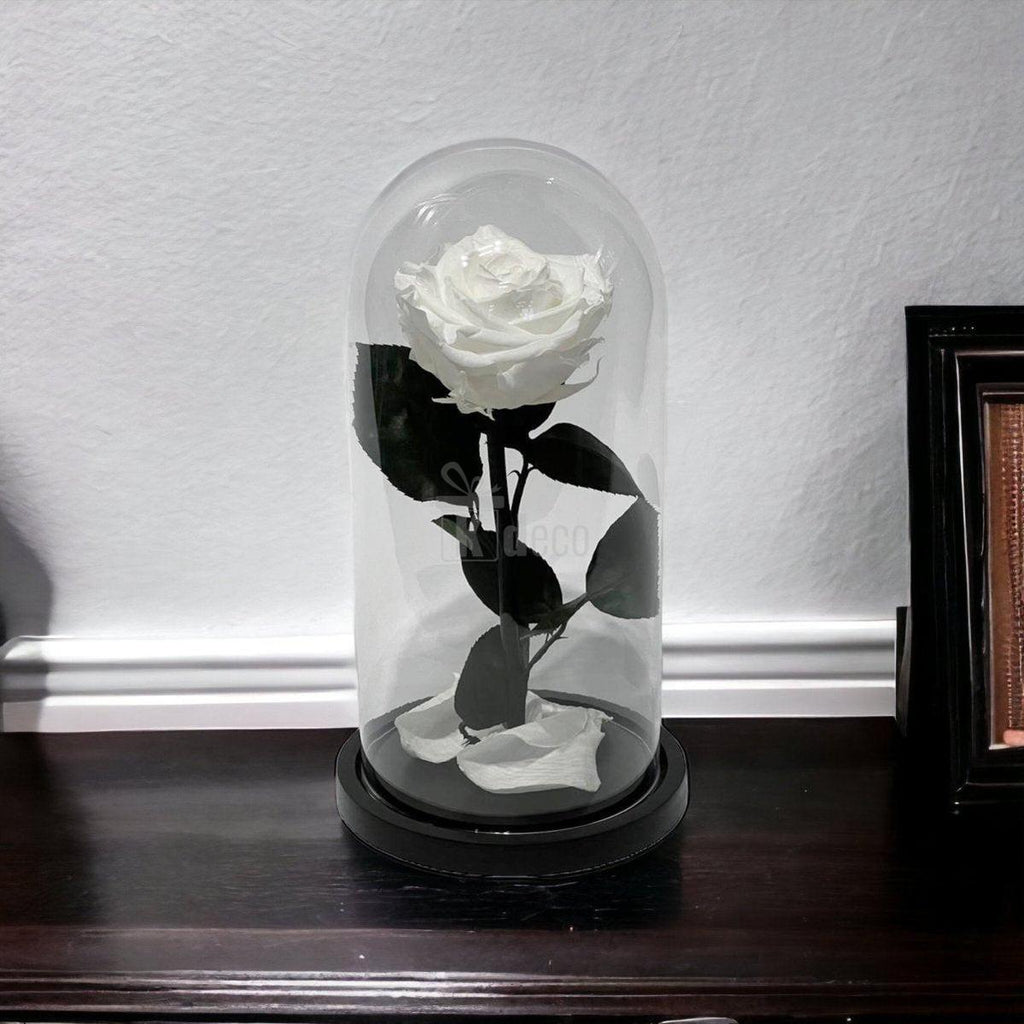 Trandafir Criogenat Alb Elegant cu Cupolă de Sticlă, 8cm, amplasat pe mobilier închis la culoare, cadou rafinat pentru femei și ocazii speciale.