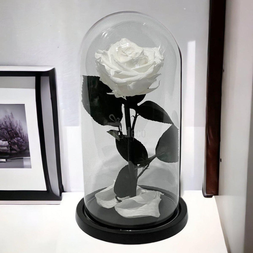 Trandafir Criogenat Alb Elegant cu Cupolă de Sticlă, 8cm, aranjament floral decorativ ideal pentru cadouri romantice și aniversări speciale.
