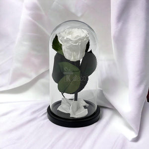 Trandafir Criogenat Alb în Cupolă de Sticlă 10x20cm - Mesaj Personalizat Inclus - Kdeco.ro