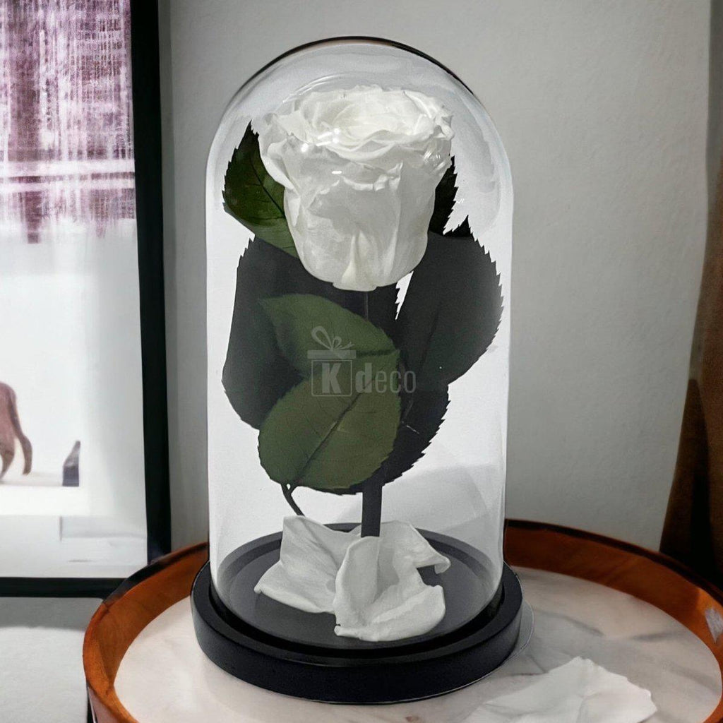 Trandafir Criogenat Alb în Cupolă de Sticlă 10x20cm - Mesaj Personalizat Inclus - Kdeco.ro