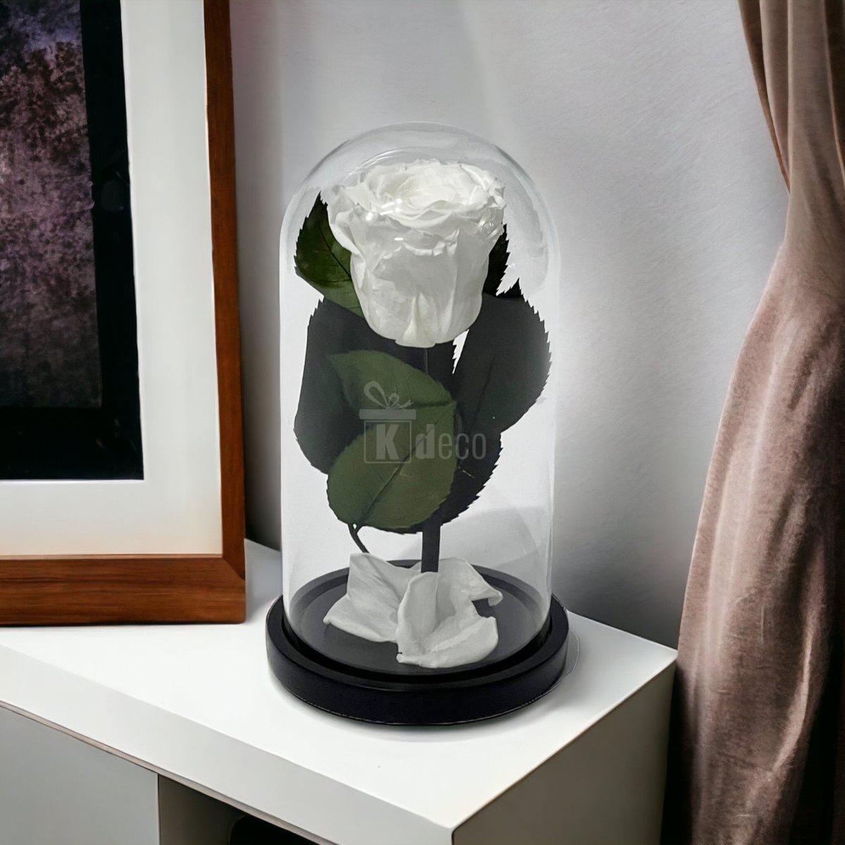 Trandafir Criogenat Alb în Cupolă de Sticlă 10x20cm - Mesaj Personalizat Inclus - Kdeco.ro