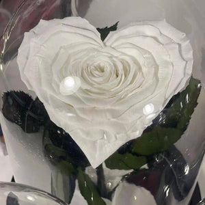 Trandafir Criogenat alb in forma de inima Ø9cm in cupola 15x25cm - Kdeco.ro