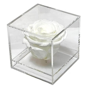 Trandafir Criogenat alb Ø6cm in cutie transparenta 9x9x9cm - Kdeco.ro