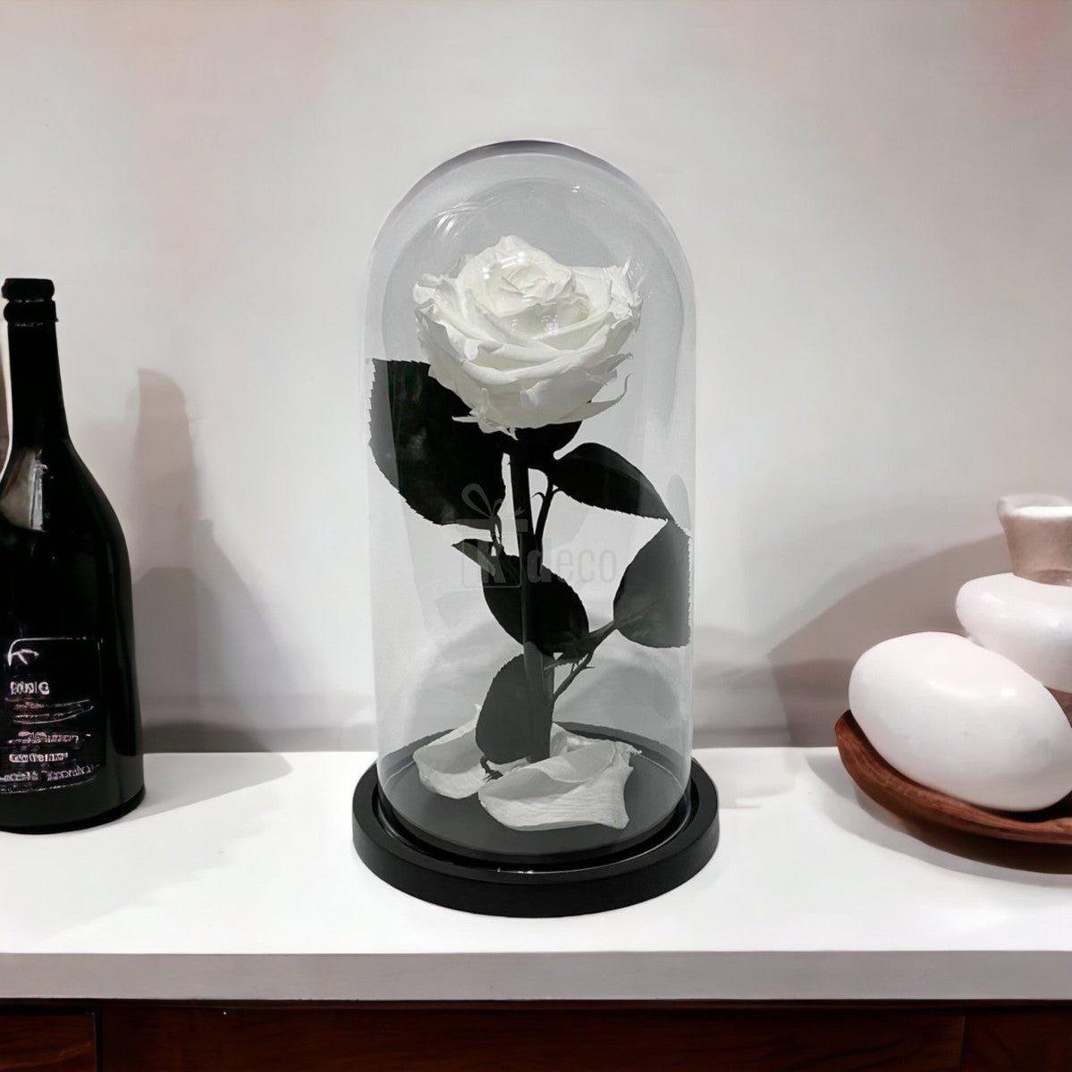 Trandafir Criogenat Alb Elegant cu Cupolă de Sticlă, 8cm, expus pe o comodă modernă, decor premium pentru ocazii speciale și cadouri elegante.