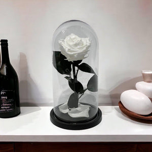 Trandafir Criogenat Alb Premium, 8cm, Cupola de Sticla - Kdeco.ro